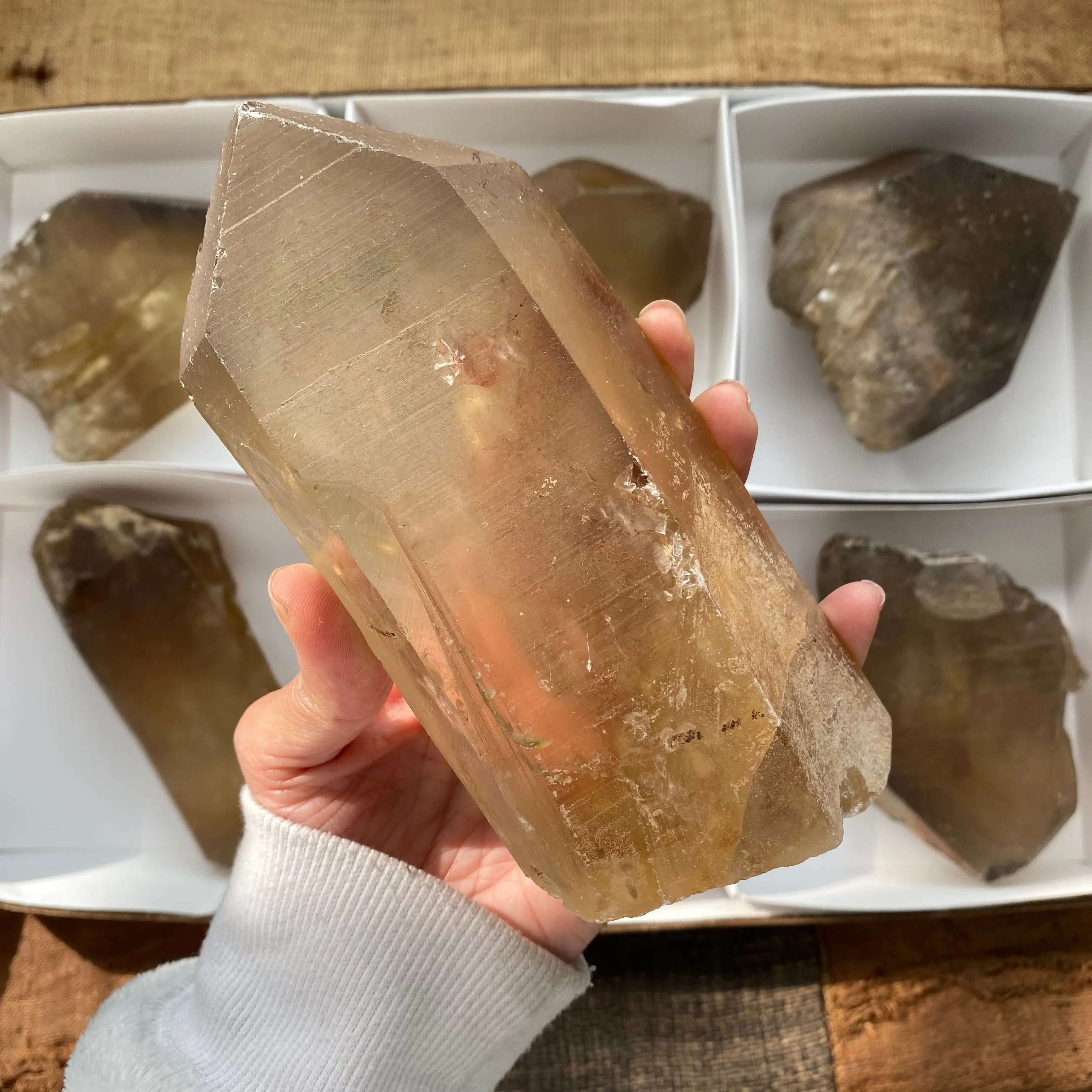 6 Pieces of Natural Zambian Citrine, Wholesale Flat