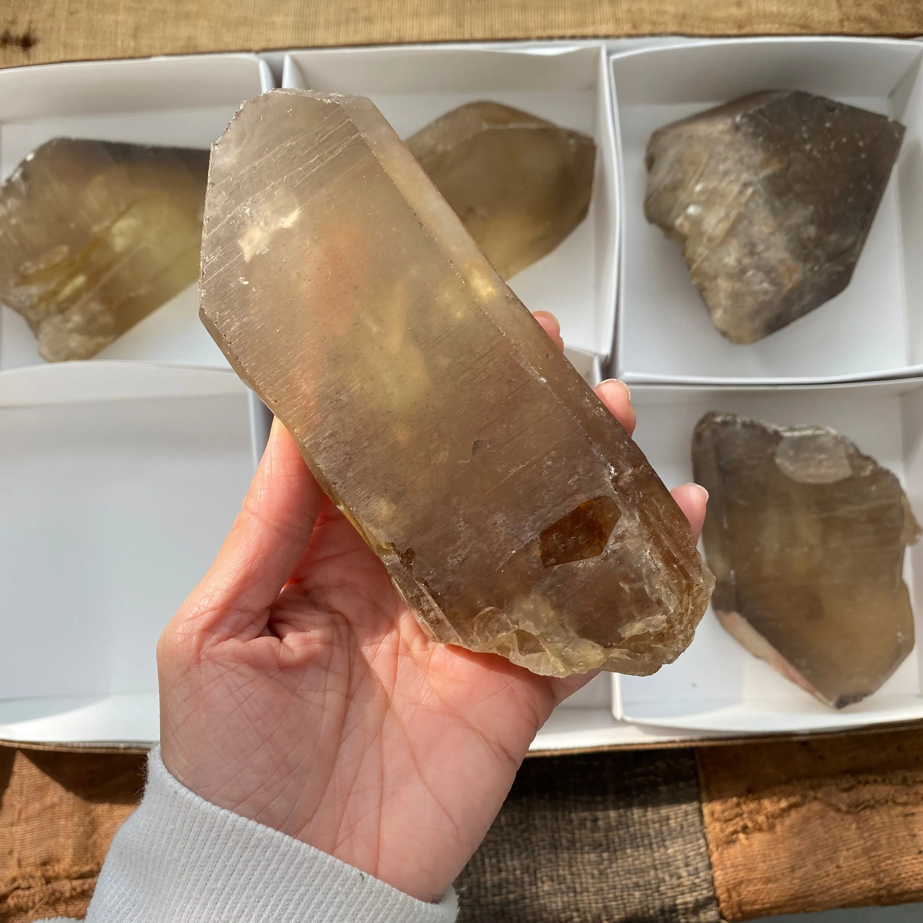 6 Pieces of Natural Zambian Citrine, Wholesale Flat