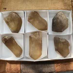 6 Pieces of Natural Zambian Citrine, Wholesale Flat
