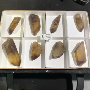8 Pieces Natural Zambian Citrine, Wholesale Flat