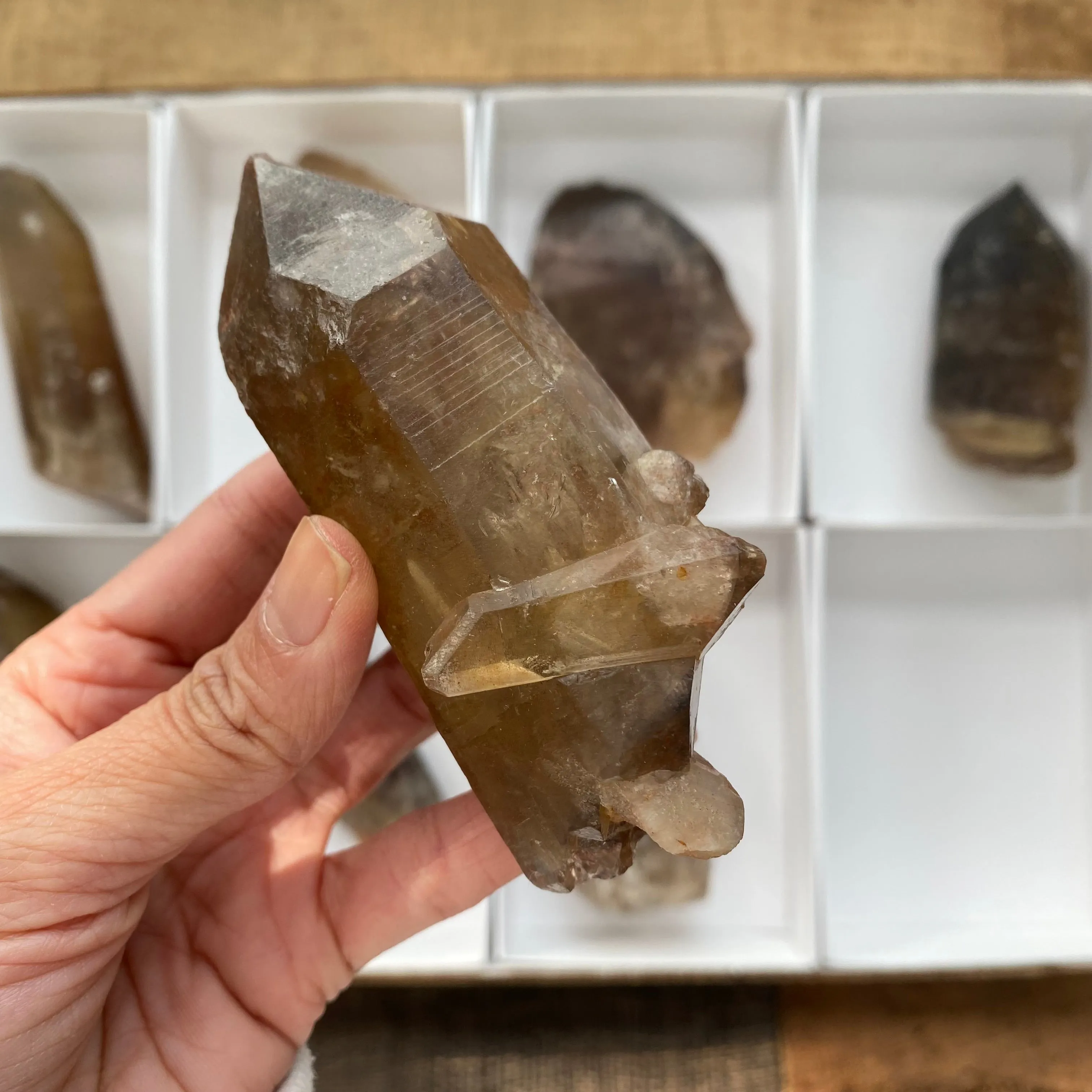 8 Pieces of Natural Zambian Citrine, Wholesale Flat
