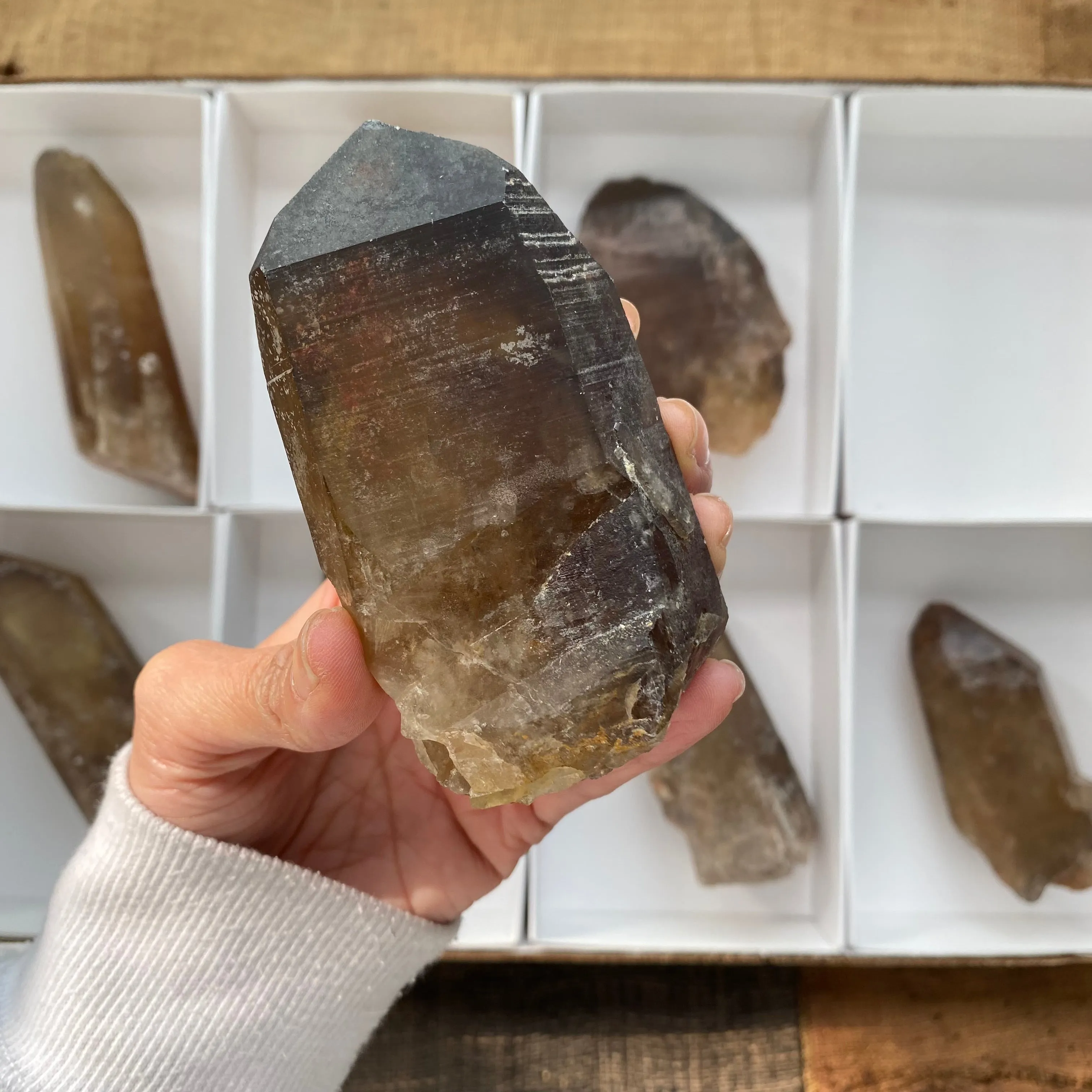 8 Pieces of Natural Zambian Citrine, Wholesale Flat