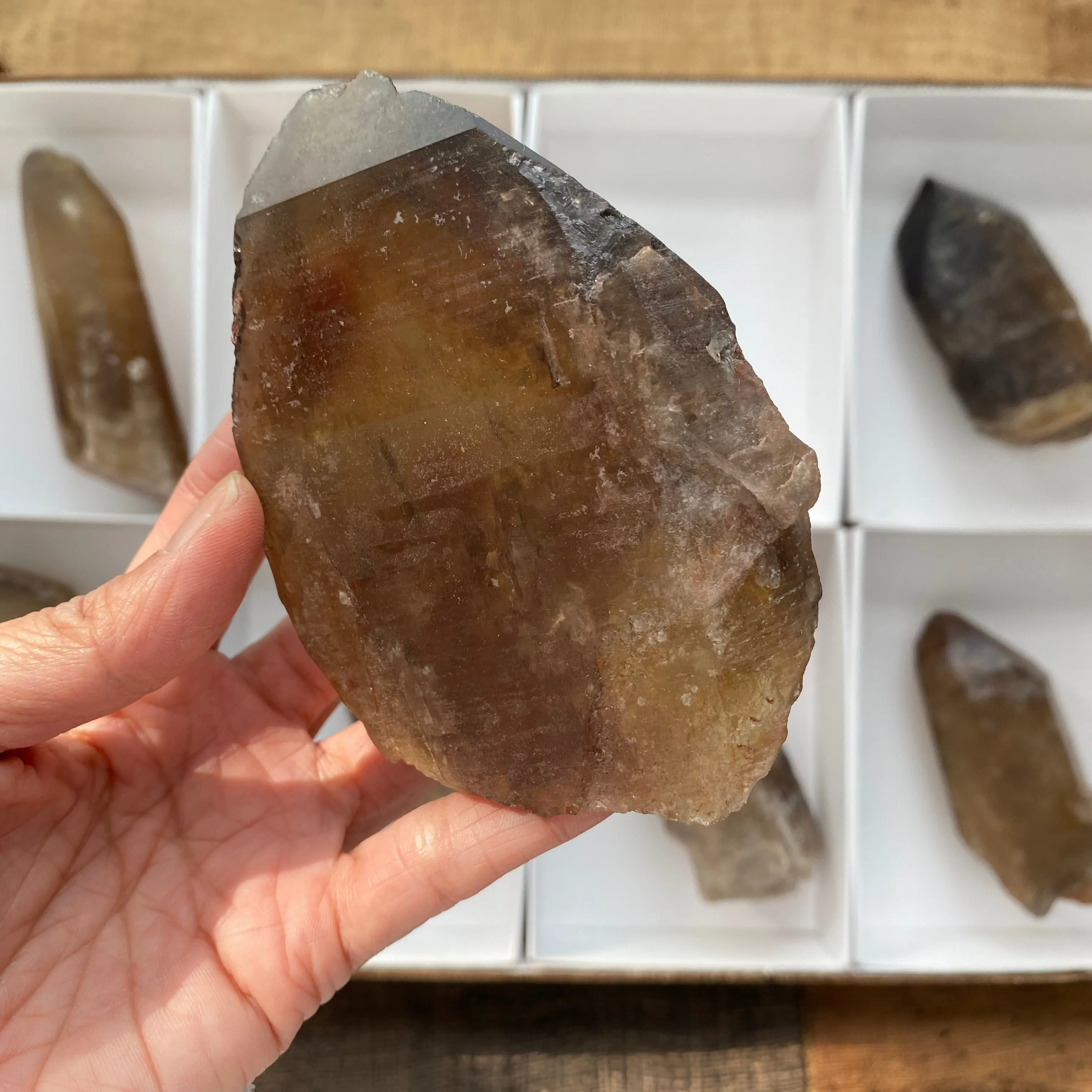8 Pieces of Natural Zambian Citrine, Wholesale Flat