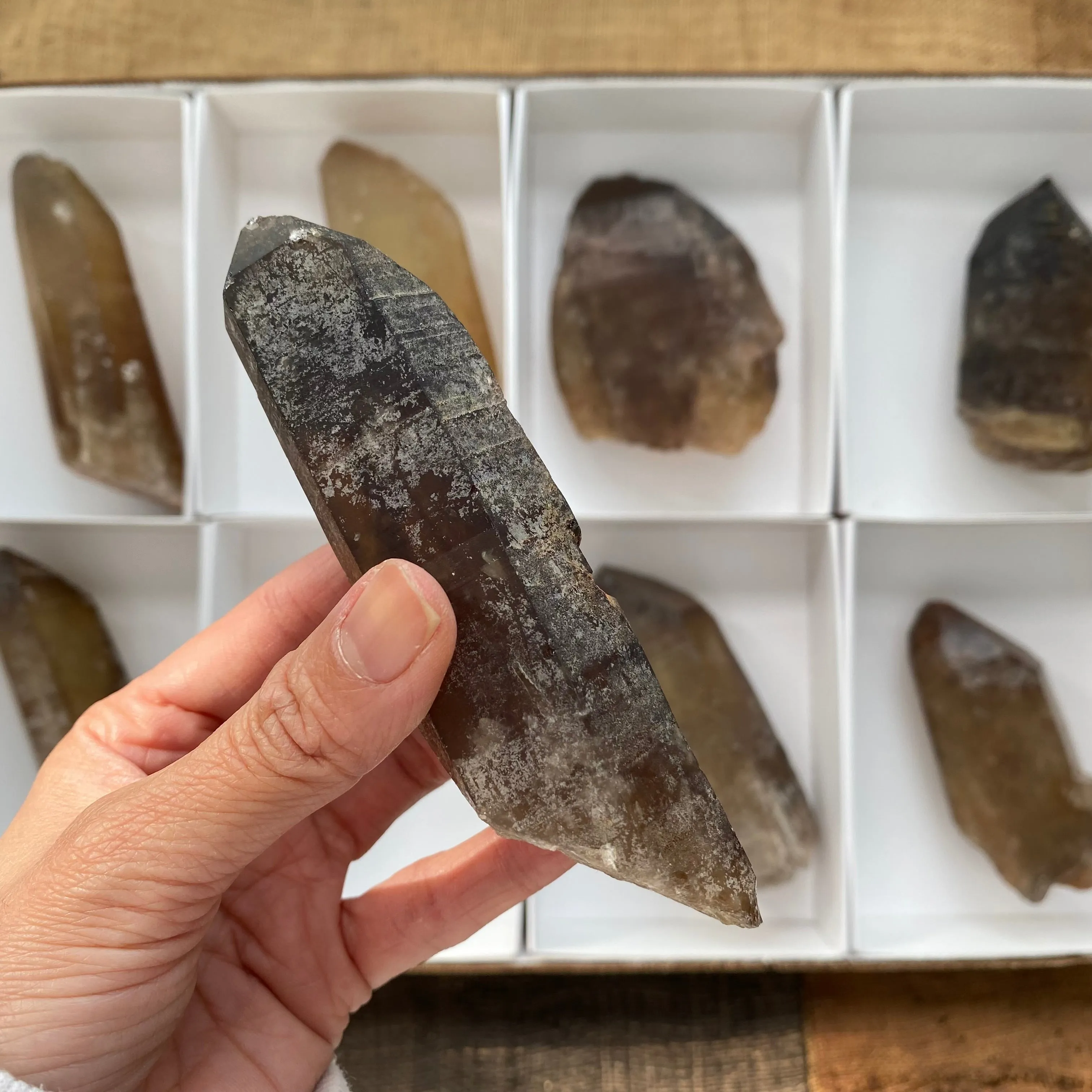 8 Pieces of Natural Zambian Citrine, Wholesale Flat