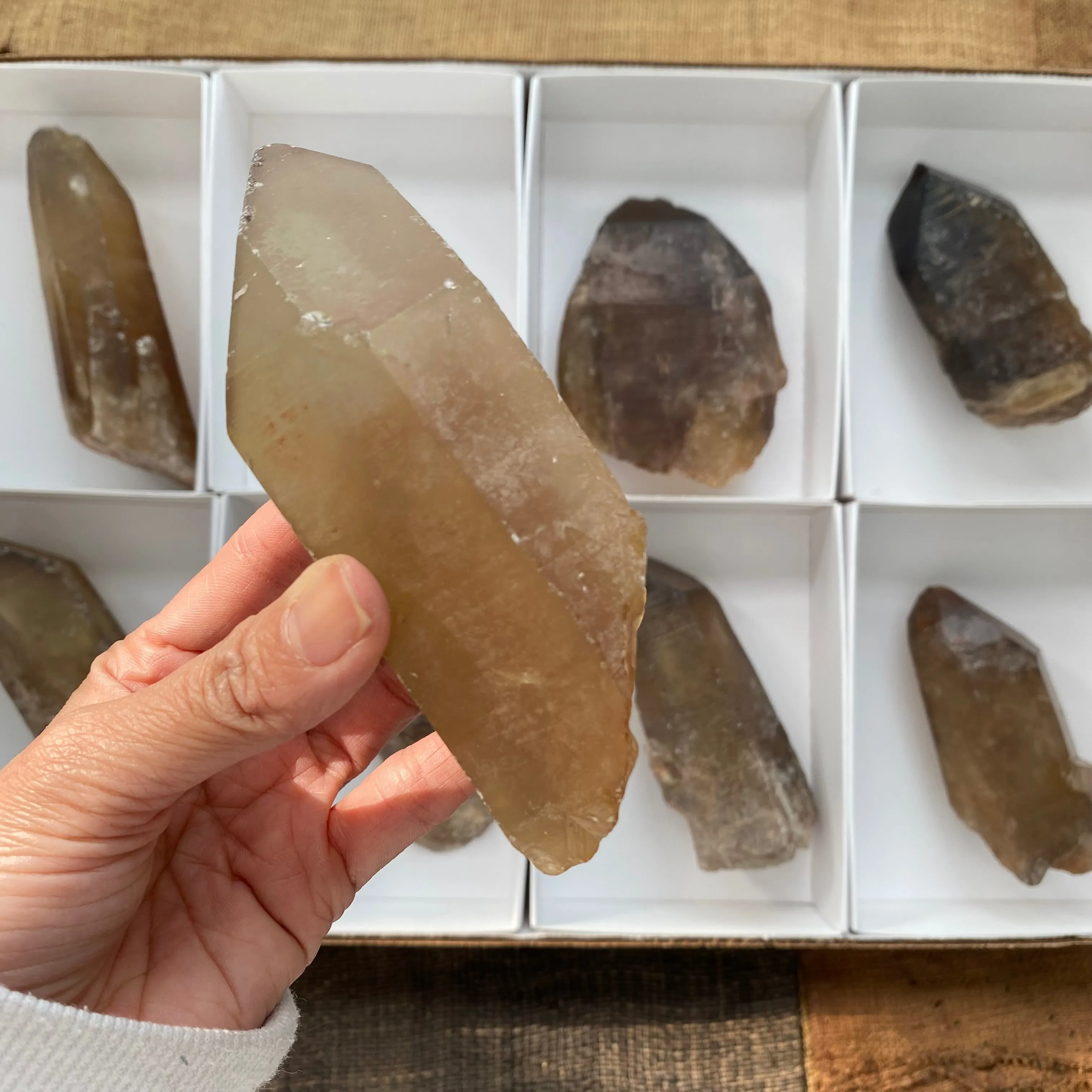 8 Pieces of Natural Zambian Citrine, Wholesale Flat