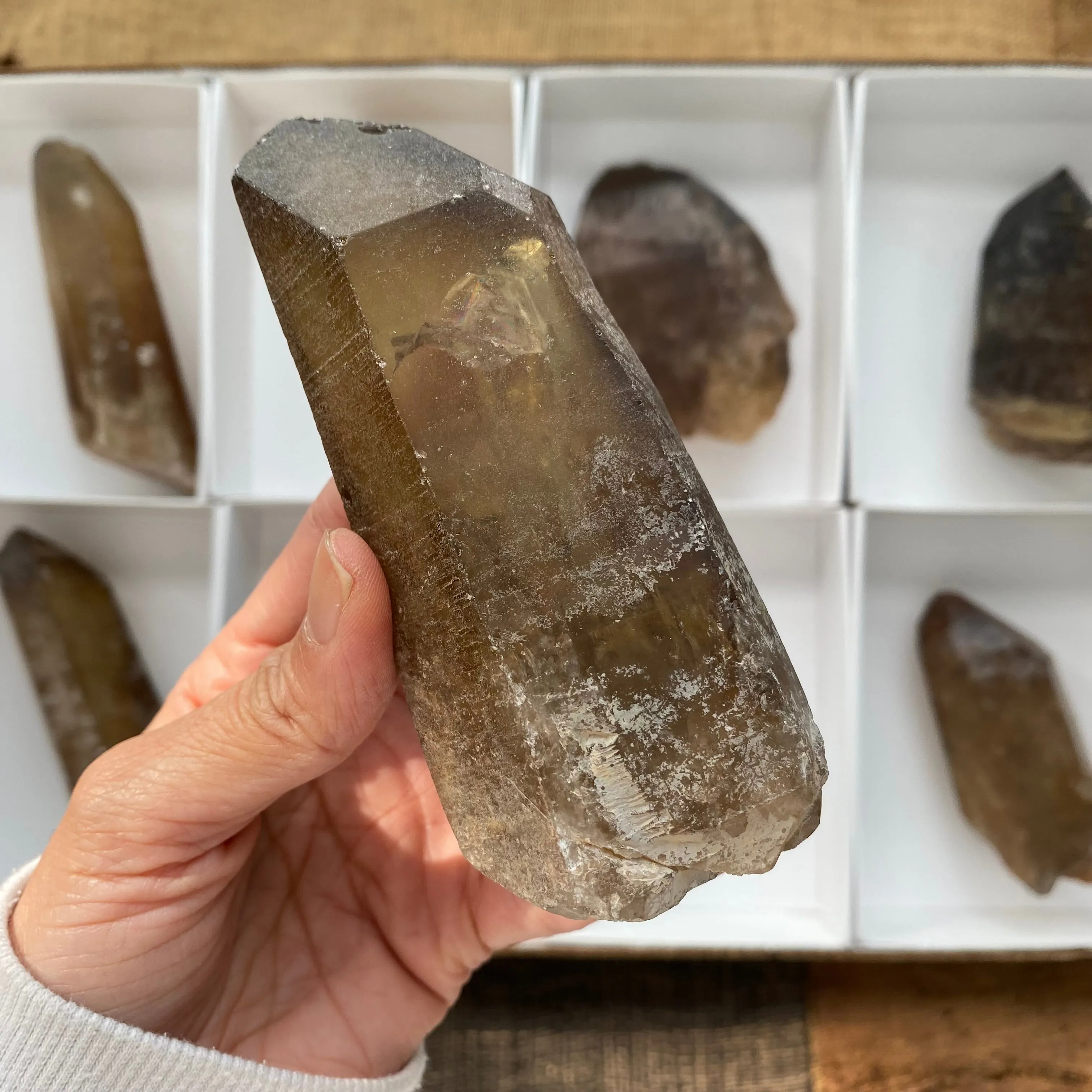 8 Pieces of Natural Zambian Citrine, Wholesale Flat