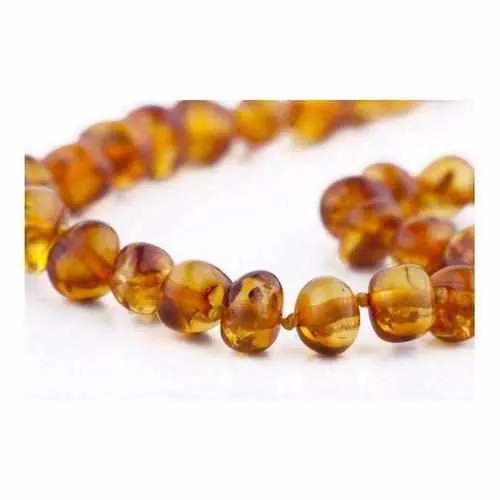 Adult Honeypot Polished Honey Baltic Amber Necklace