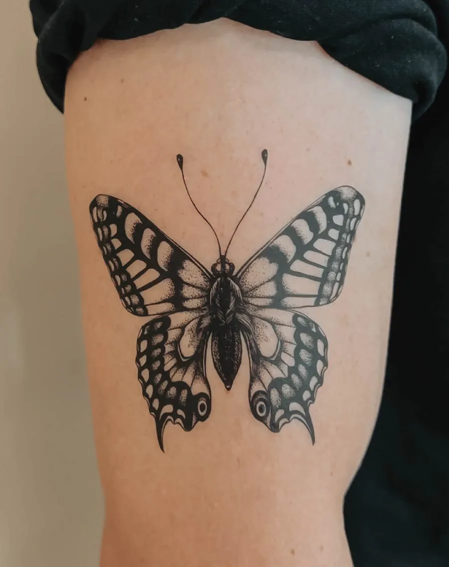 (FREE) Beautiful Butterfly